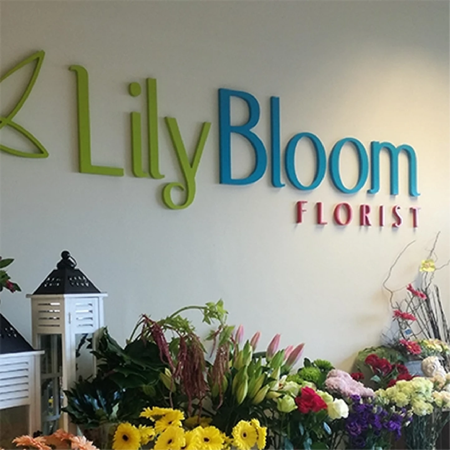 Lily Bloom